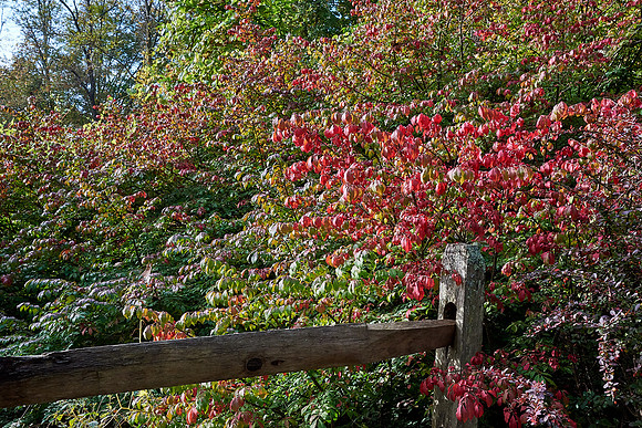 040Cherryville