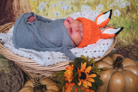 2024-09-03 Feggeler Newborn