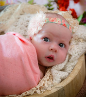 2025-09-19 Formalarie Newborn