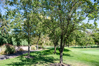 006Cherryville