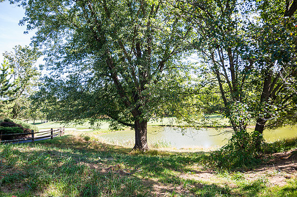 008Cherryville