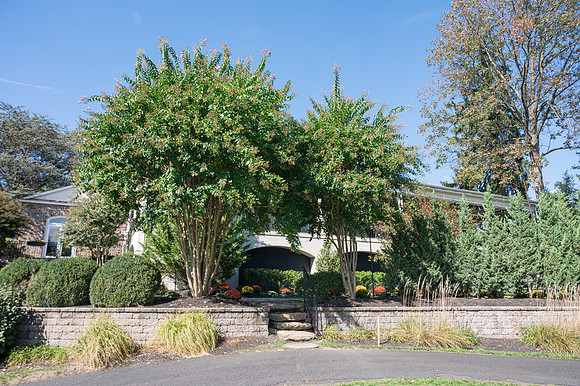 005Cherryville