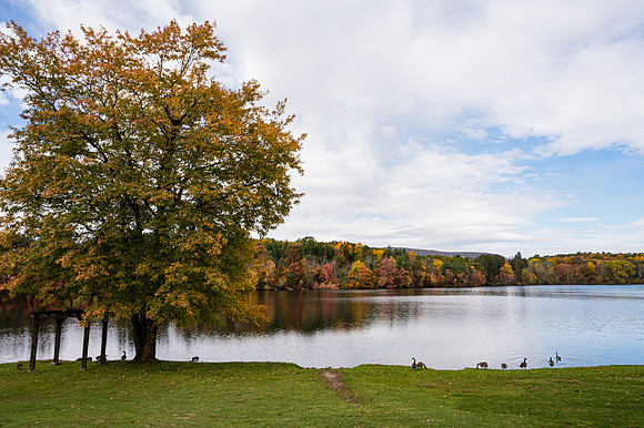 083Cherryville