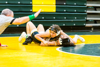 2025-12-13 Lady Lion Classic Home
