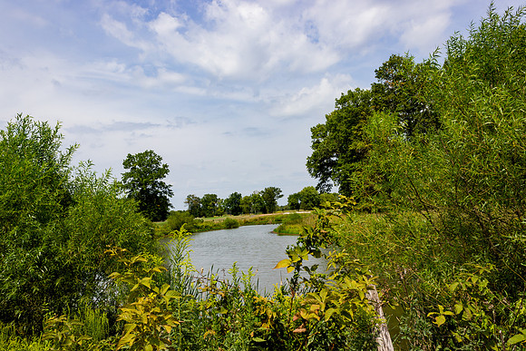 005#CherryvillePhotography #RoyceBrook