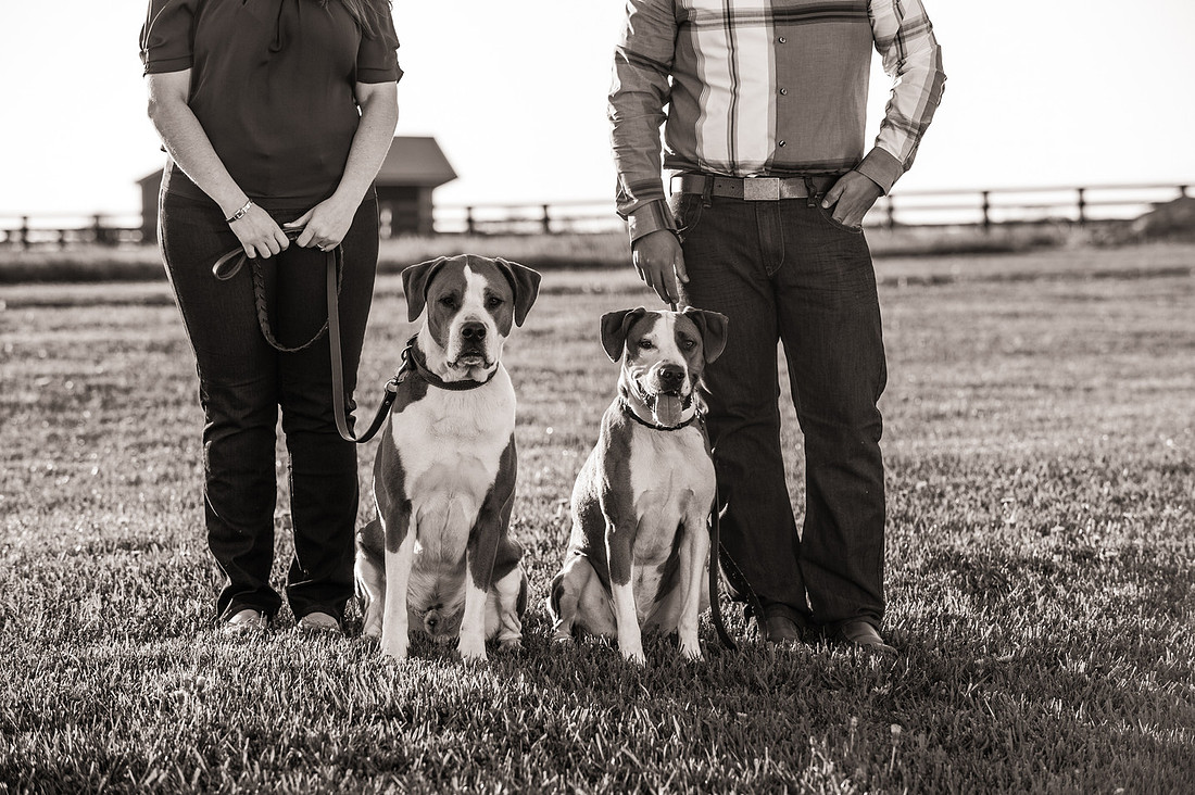 Clinton NJ Wedding, Portrait, and Engagement Photographer, Cherryville Photography