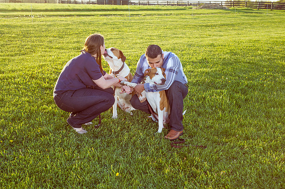 Clinton NJ Wedding, Portrait, and Engagement Photographer, Cherryville Photography