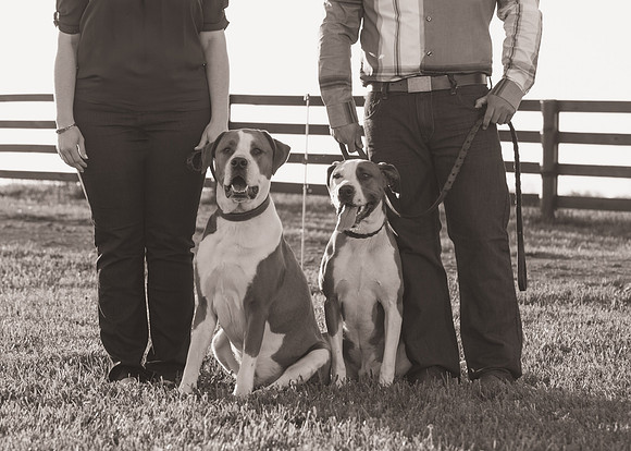 Cherryville Photography, Clinton, NJ Wedding and Portrait Photographer
