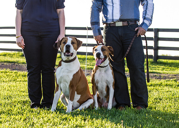 Cherryville Photography, Clinton, NJ Wedding and Portrait Photographer