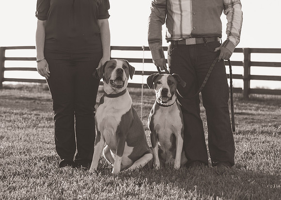 Cherryville Photography, Clinton, NJ Wedding and Portrait Photographer