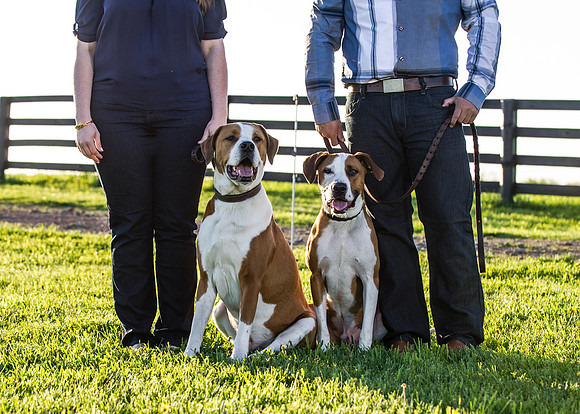 Cherryville Photography, Clinton, NJ Wedding and Portrait Photographer
