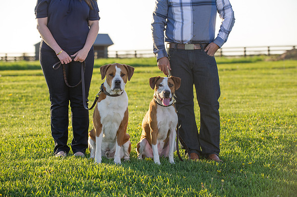 Cherryville Photography, Clinton, NJ Wedding and Portrait Photographer