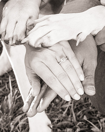Cherryville Photography, Clinton, NJ Wedding and Portrait Photographer