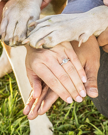 Cherryville Photography, Clinton, NJ Wedding and Portrait Photographer