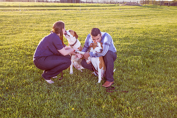 Cherryville Photography, Clinton, NJ Wedding and Portrait Photographer