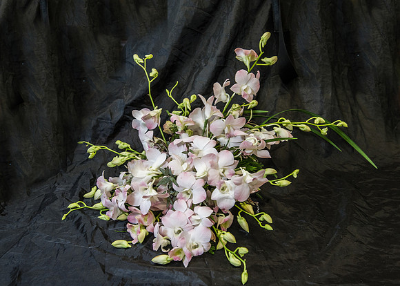 CherryvillePhotography0013