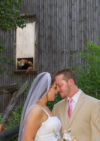 CherryvillePhotography0077