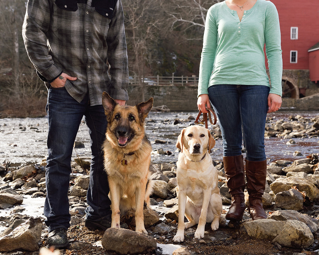 Clinton, NJ Cherryville Photography, NJ Engagement Photographer