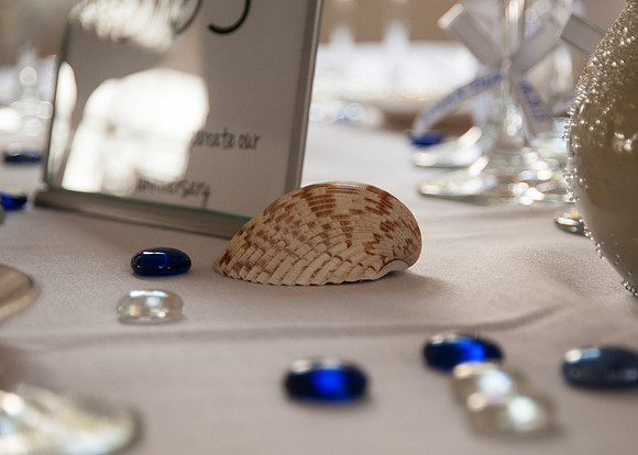 NJ Wedding Photographer