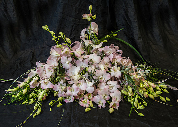 CherryvillePhotography0012