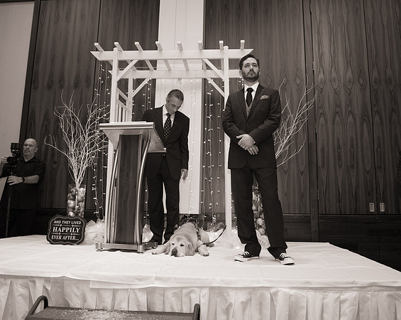 cherryville-photography, clinton-NJ-wedding-photographer, hyatt-new-brunswick, k, must-have-sweet-cute-romantic-wedding-pictures