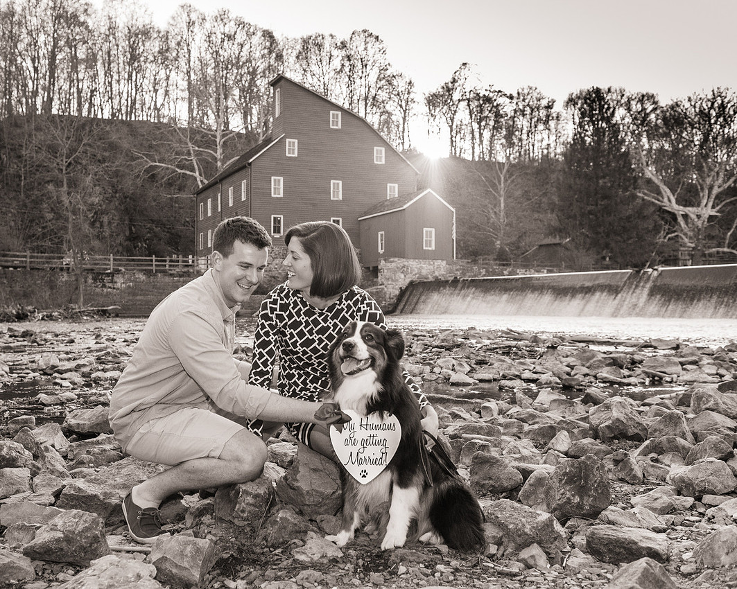 10,cute-sweet-fun-must-have-engagement-picture-clinton-hunterdon-county-cherryville-photography-nj-wedding-photographer-dog