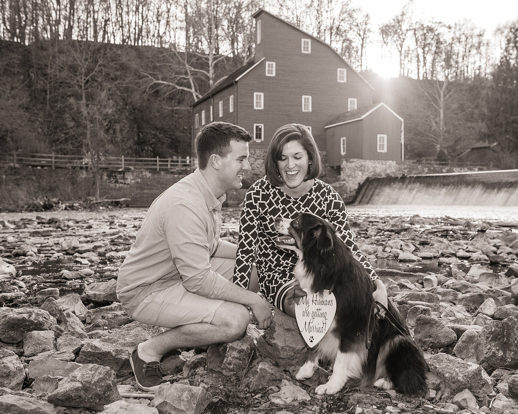 11,cute-sweet-fun-must-have-engagement-picture-clinton-hunterdon-county-cherryville-photography-nj-wedding-photographer-dog