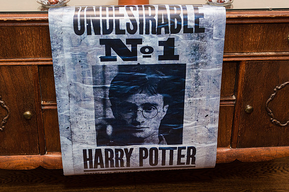 Harry Potter Themed Wedding David's Country Inn, Hackettstown, NJ Wedding Photography Pictures