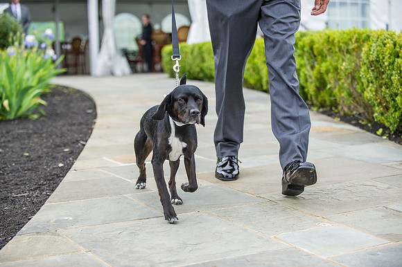 Architects Golf Club Wedding Photography Pictures, Lopatcong, NJ