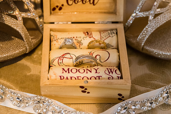 Harry Potter Themed Wedding David's Country Inn, Hackettstown, NJ Wedding Photography Pictures