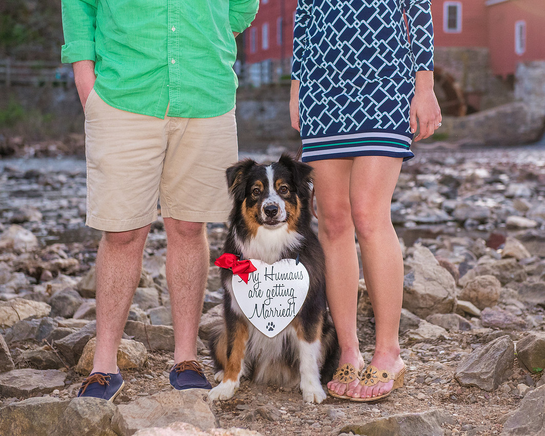 13,cute-sweet-fun-must-have-engagement-picture-clinton-hunterdon-county-cherryville-photography-nj-wedding-photographer-dog