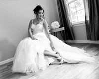 The Palace at Somerset Park, Somerset NJ Wedding Photography Pictures