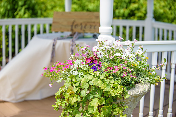 037#TheFarmhouse #GrandColonial #NJWedding #CherryvillePhotography cherryville-photography-clinton-hunterdon-county-NJ-wedding-photographer, cute-sweet--fun-must-have-bride-groom-picture-the-farmhouse