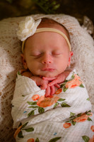 Cronin 2023 Newborn