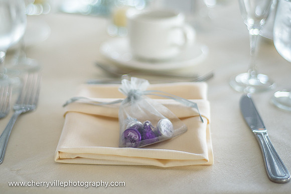 002#NJWedding #BeaverBrookCC #CherryvillePhotography cherryville-photography-clinton-hunterdon-county-NJ-wedding-photographer, cute-sweet--fun-must-have-bride-groom-picture-beaver-brook-cc