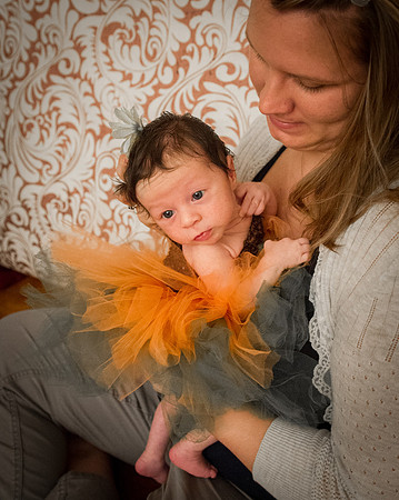 FFF_3679