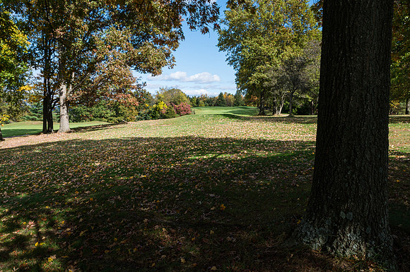 060Cherryville