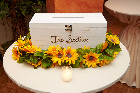 The Palace at Somerset Park, Somerset NJ Wedding Photography Pictures