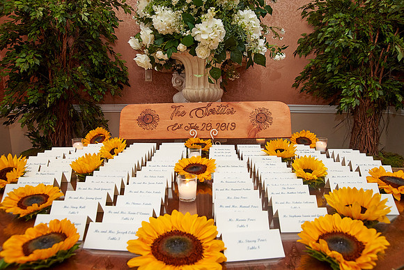 The Palace at Somerset Park, Somerset NJ Wedding Photography Pictures