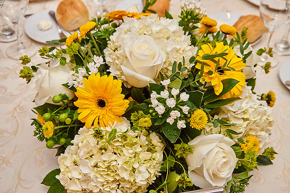 The Palace at Somerset Park, Somerset NJ Wedding Photography Pictures