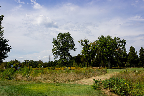 045Cherryville