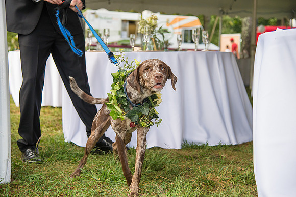 5,#NJWedding #BoumanStickneyFarm  #CherryvillePhotography cherryville-photography-clinton-hunterdon-county-NJ-wedding-photographer