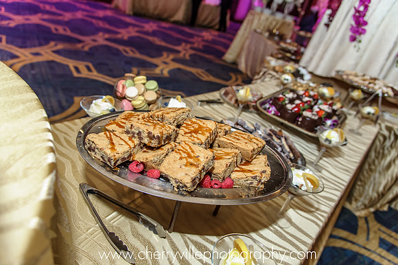#TheImperia #NJWedding #CherryvillePhotography cherryville-photography-clinton-hunterdon-county-NJ-wedding-photographer2141