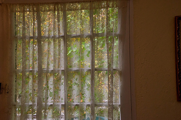 NJC_0025