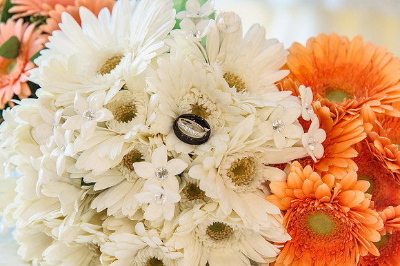 047CherryvillePhotography