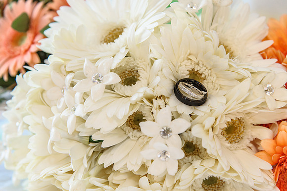049CherryvillePhotography