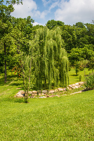 CherryvillePhotography022