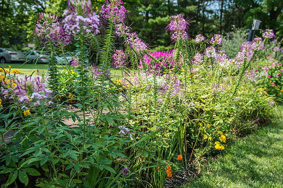 CherryvillePhotography102