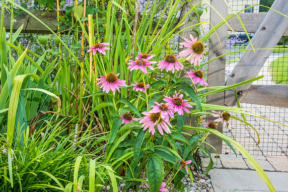 CherryvillePhotography019
