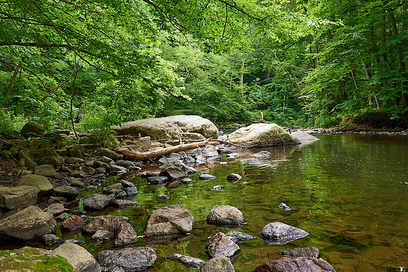 006Cherryville